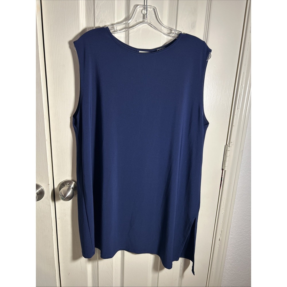 Clara Sun Woo Blue Sleeveless Top Sz XL Tunic Style